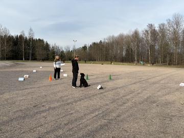 Rally-Tokon kokeenomainen treeni  17.6.24 Helsingissä