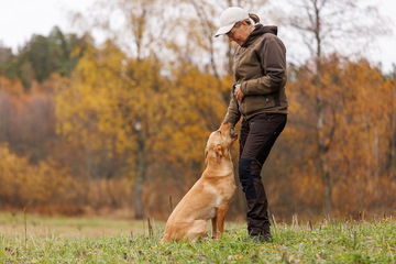 Nometokoa hallissa Espoo