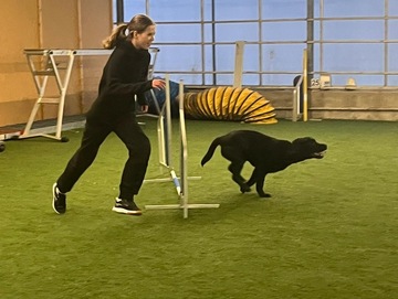 Agilityn pienryhmätunti yksilöllisellä koulutussisällöllä