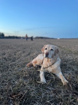 Verkkoluento: Kontakti ja rauhoittuminen