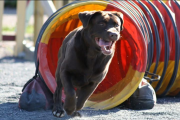 Kouluttaja Sini Rakkola