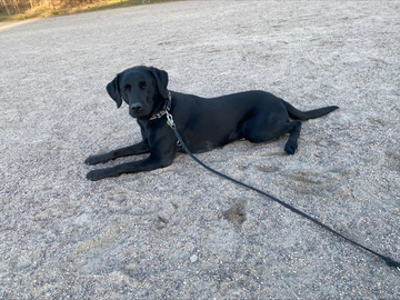 Omatoimitreeni Helsingissä Sirkuskentällä