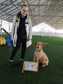 Harrastuskoiran perusteet Agility Akatemia Vantaa