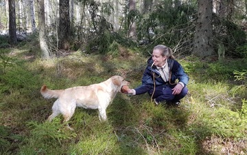 Taipumuskoetta kohti - Lohja